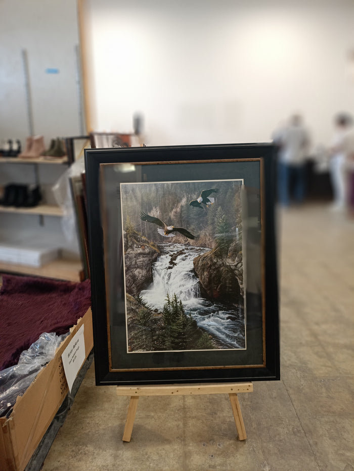 "Land of the Free" Unknown Artist