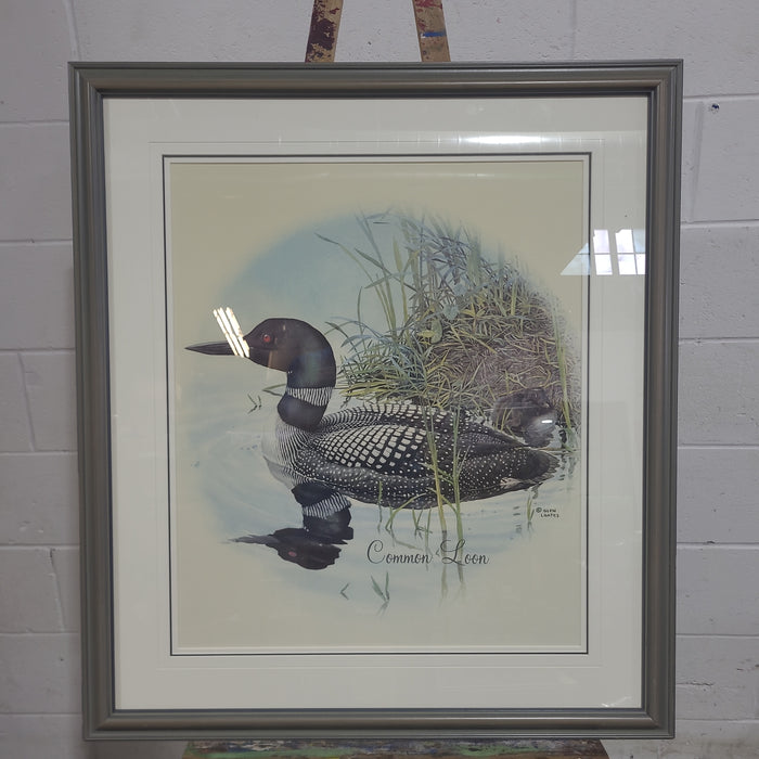 Loon Duck WallArt by Glen Loates
