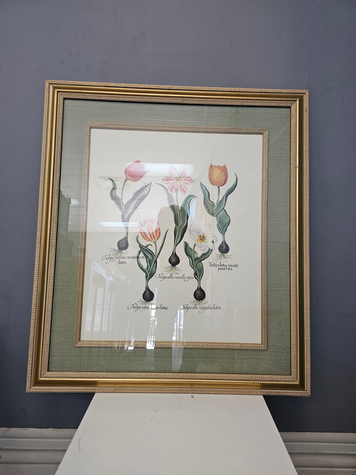 34" x 30" Tulip Artwork