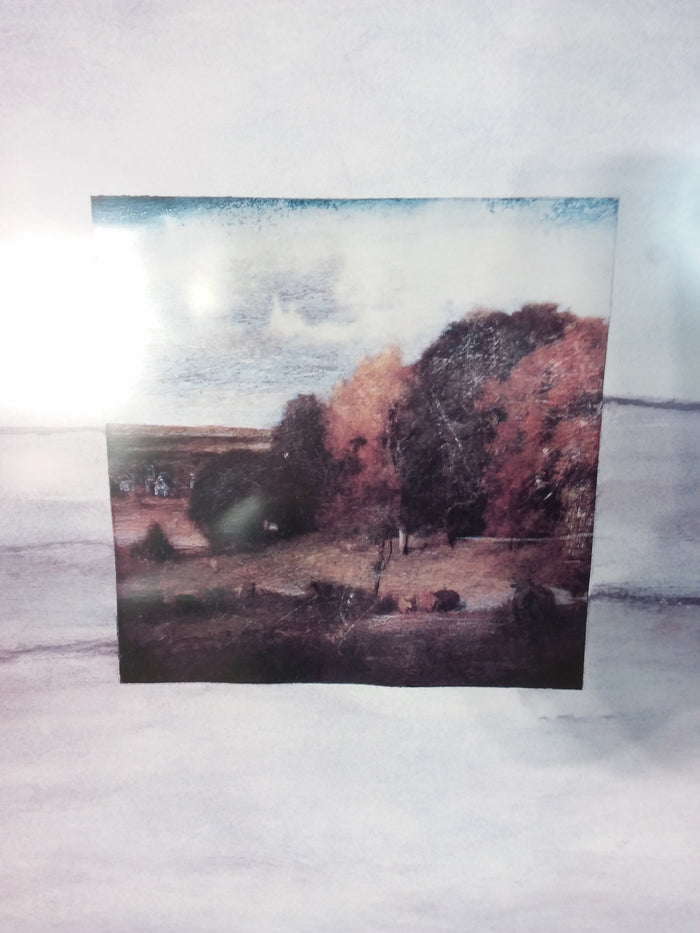 Inset Landscape Framed Print