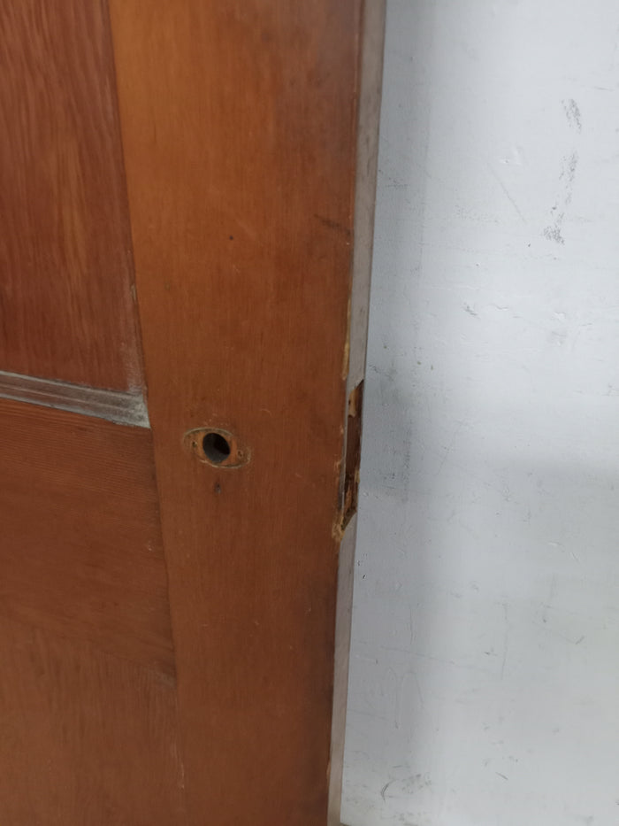 79" x 22" Chestnut Interior Door