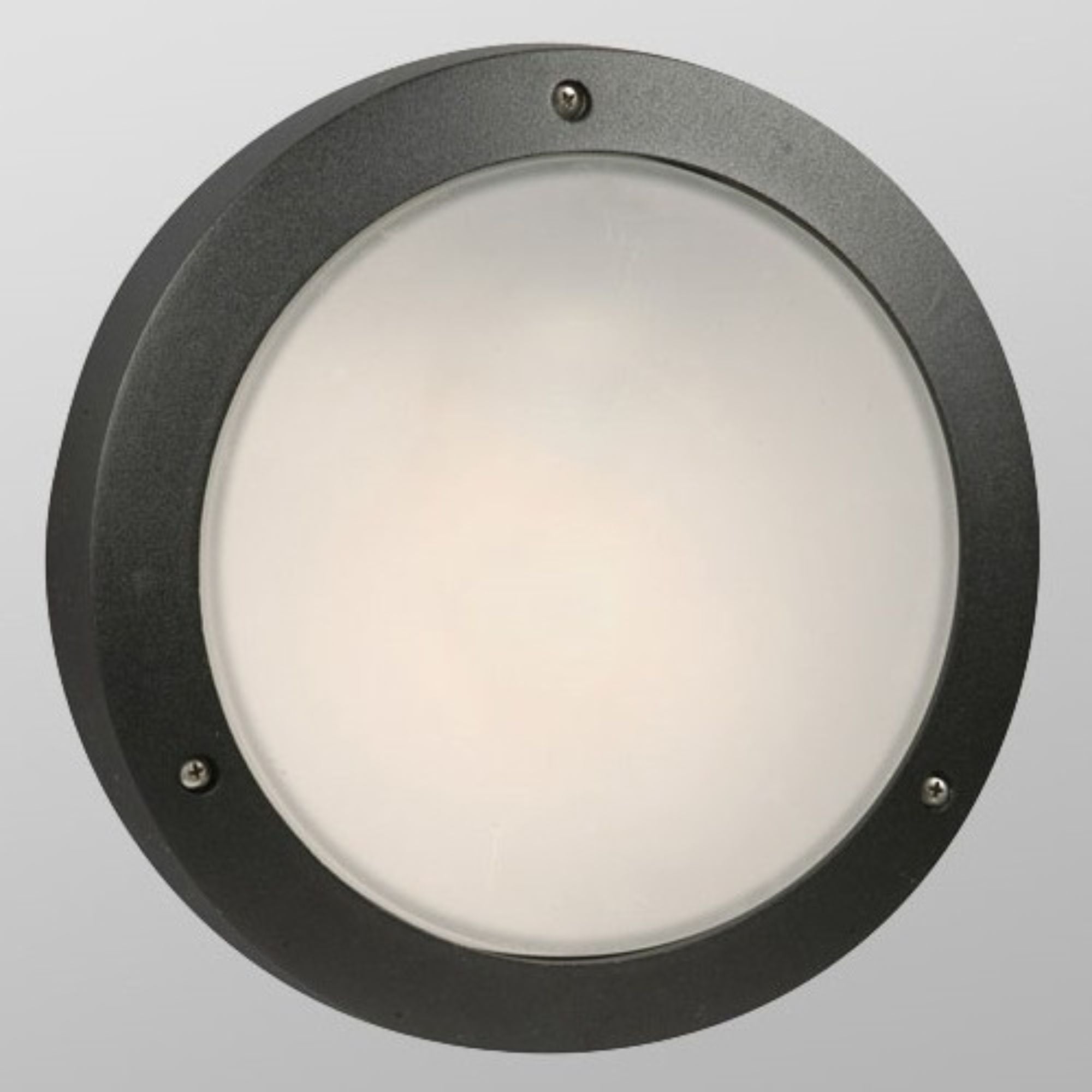 1-Light Cast Aluminum Outdoor Fixture in Black with Frosted Glass, 305 ... - Aluminum Outdoor Lighting Fixture With Opal Glass Lenses