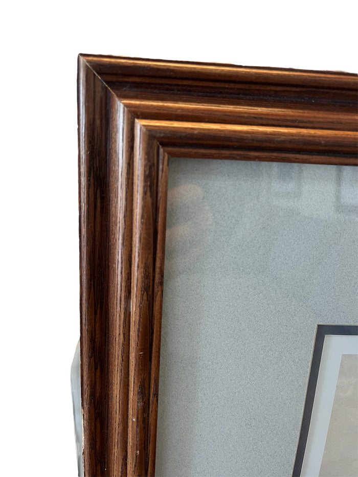 "Majestic Wings" By M. Visser