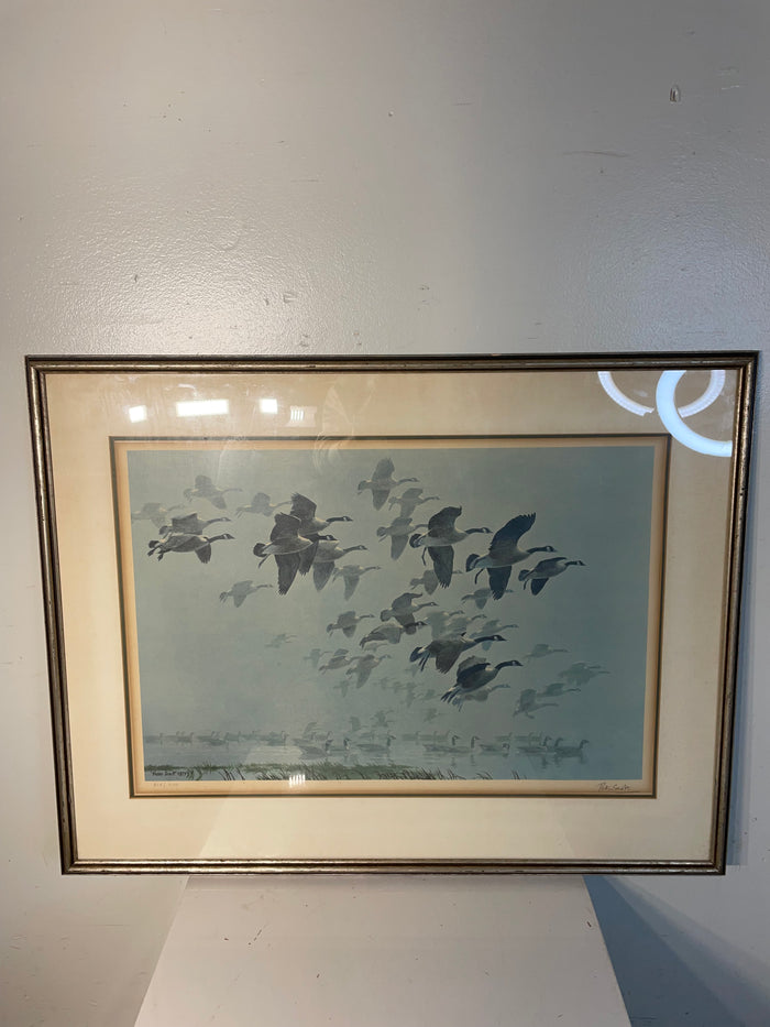 Framed Print "Canadian Geese" - Peter Scott