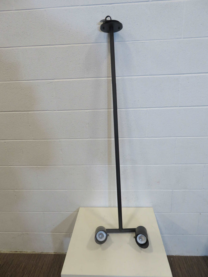 2-Light LED Directional Pendant