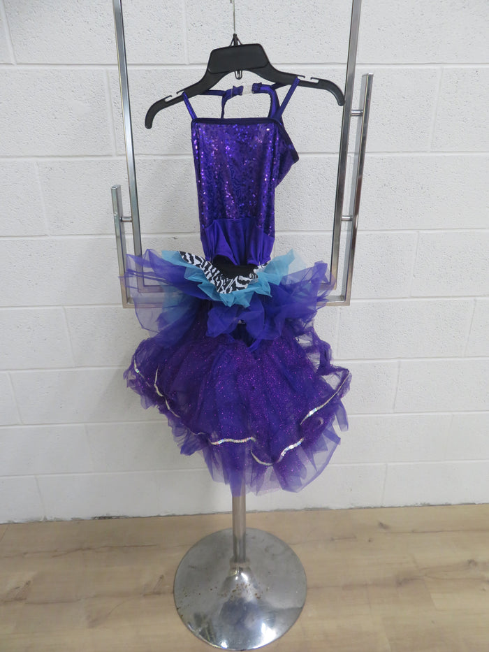 "Curtain Call" Tutu Style Costume - Purple