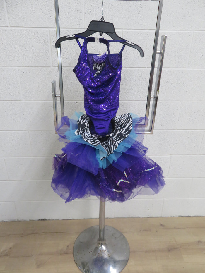 "Curtain Call" Tutu Style Costume - Purple