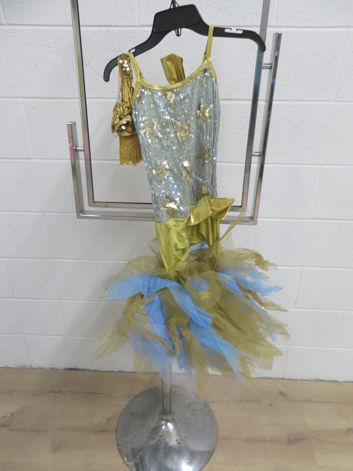 "Curtain Call" Tutu Style Costume - Gold and Blue