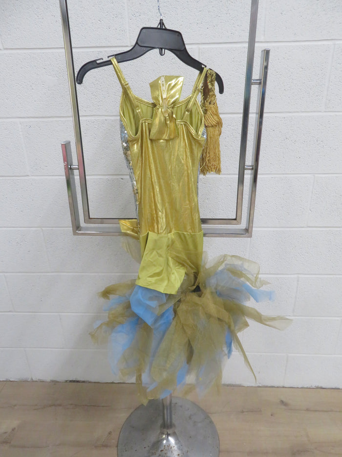 "Curtain Call" Tutu Style Costume - Gold and Blue