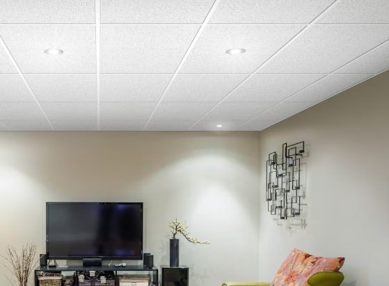 USG/CGC Ceilings 2 ft. x 4 ft. Santa Fe Lay-in Ceiling Tile