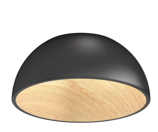 Black Dome Flush Mount Light