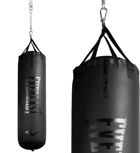 Everlast Heavy Bag and Gloves