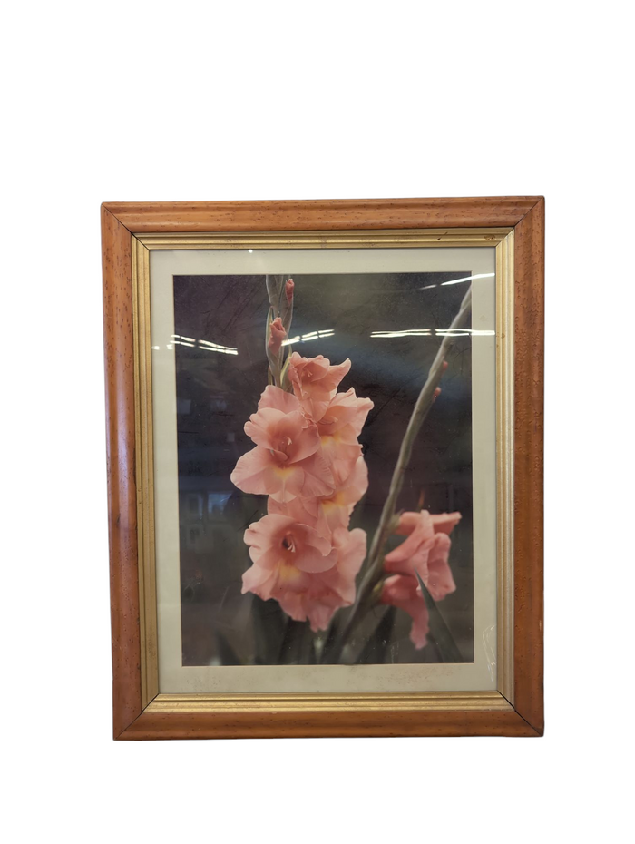Gladiolus Lily Flower Artwork