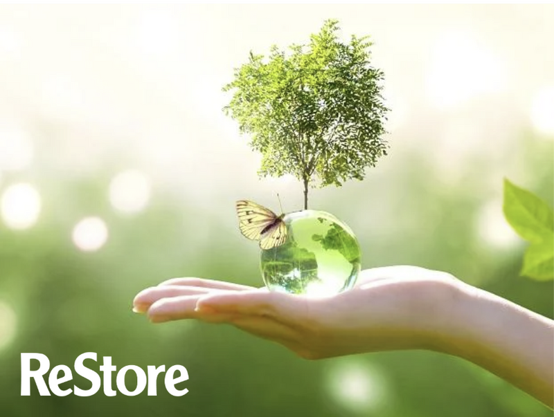 World Environment Day: Small Choices, Big Impact