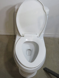 Water Ridge 1-pc Dual Flush Elongated Toilet