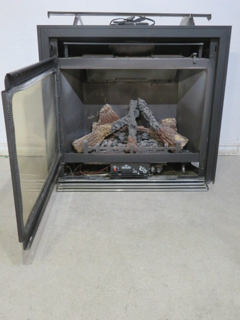 Napoleon Gas Fireplace Insert