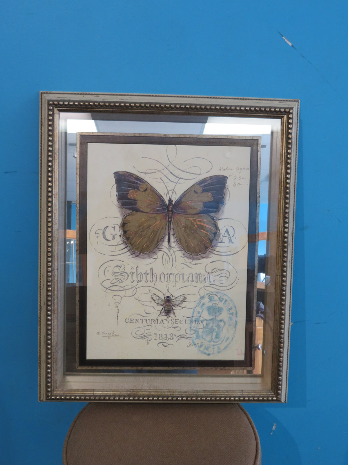 "Honeybee Papillon " by Chad Barret - Framed Art