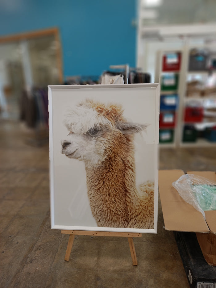 "Sylvie Golden Alpaca Profile Framed Canvas" Unknown Artist