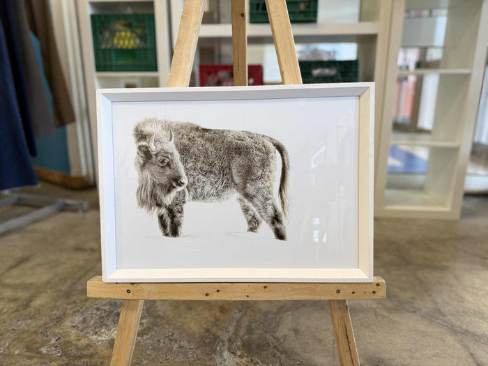 "Sacred White Bison" Unknown Artist