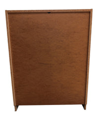 White 2-Door Storage Cabinet