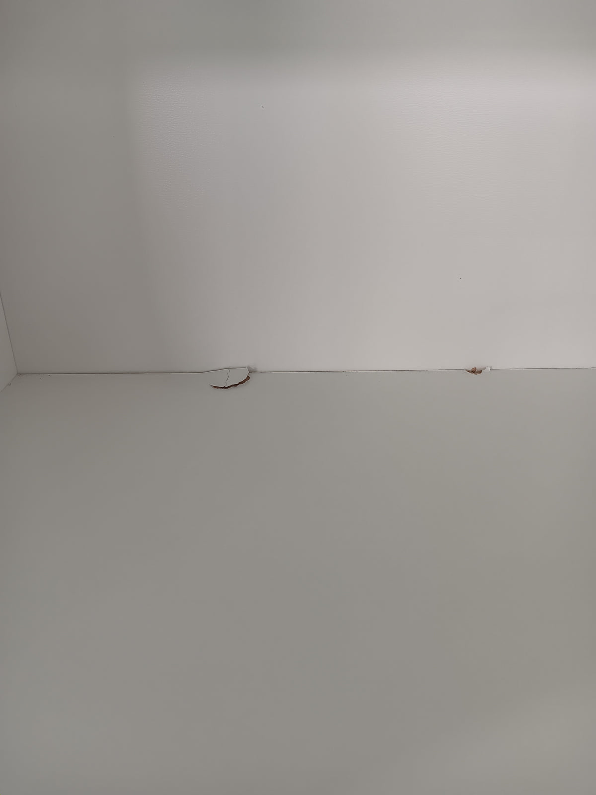 White Glass Door Bookcase