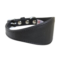 14x1.75-inch Hound/Dog Plain Collar in Midnight Black