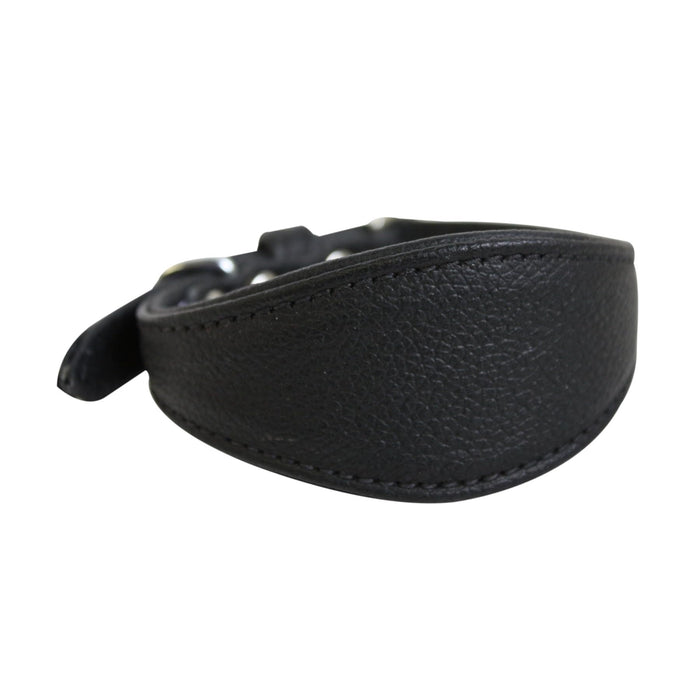 16x2.25-inch Hound/Dog Plain Collar in Midnight Black