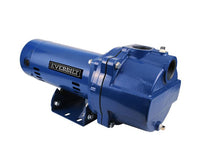Everbilt 1-1/2 HP Irrigation Pump