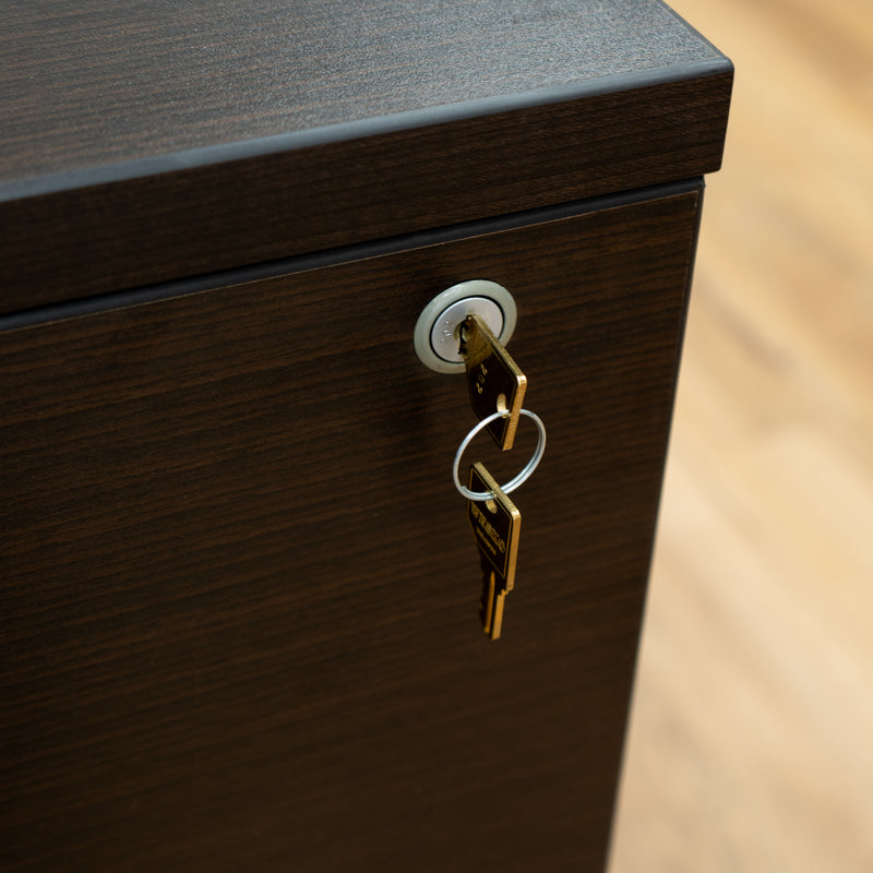 2-Drawer Wooden Cabinet in Dark Brown