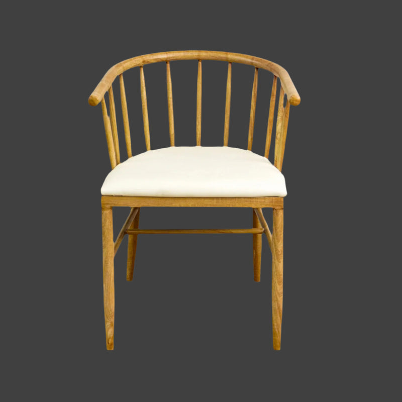 Dante 21.5-Inch W Wood Accent Chair with Cushioned Seat, DC T18