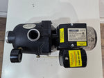 Shallow Well Jet Pump