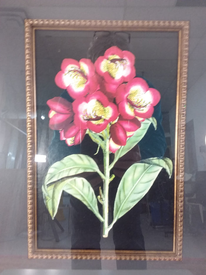 Red Flowers #1 Framed Print