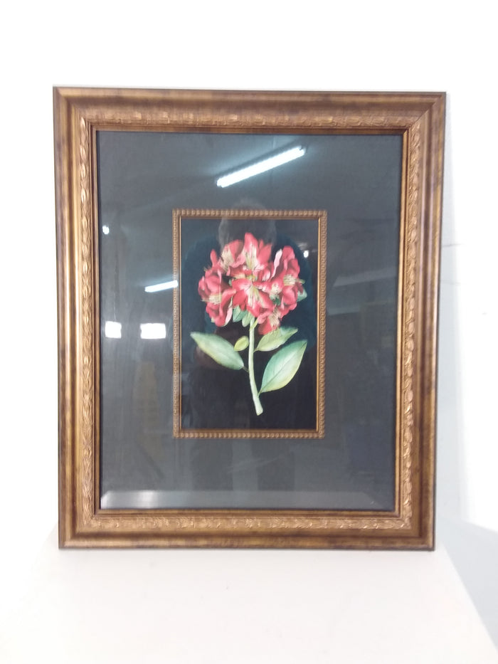 Red Flowers #2 Framed Print