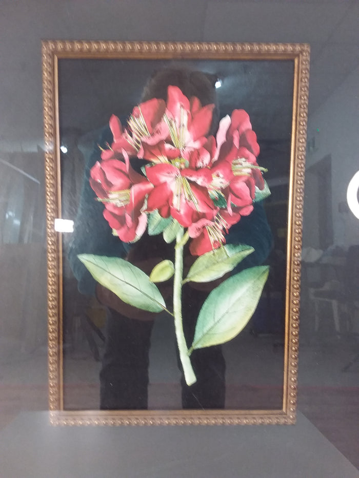 Red Flowers #2 Framed Print