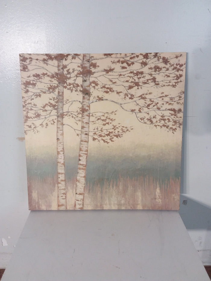 Birch Trees In Fall Photo On Canvas