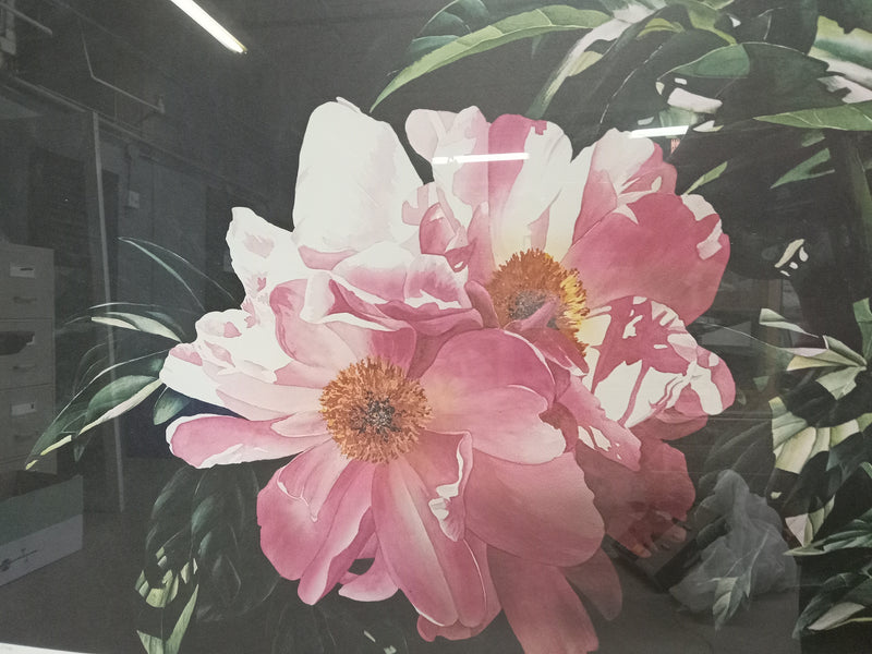 Cluster of Peonies by Arleta Pech