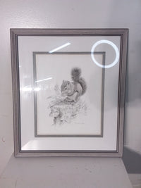 Squirrel's Dish Framed Print