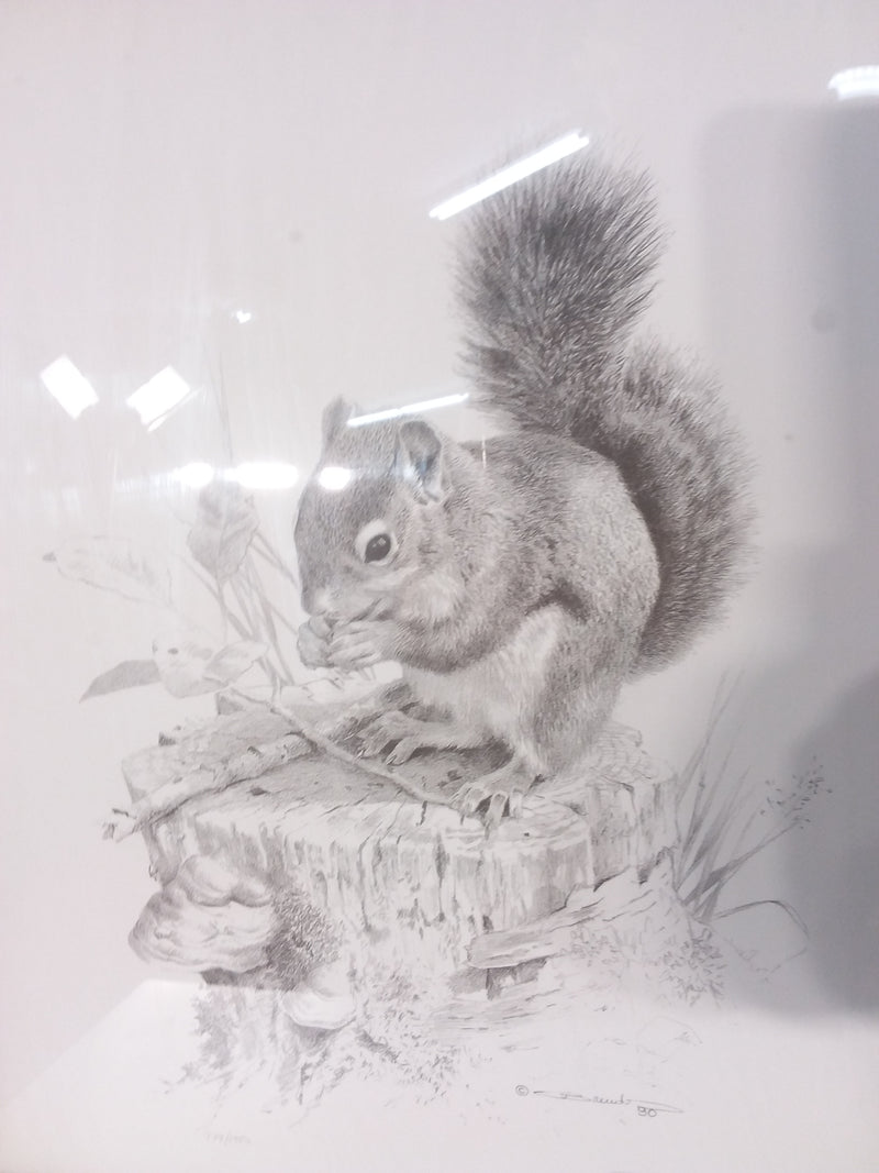 Squirrel's Dish Framed Print