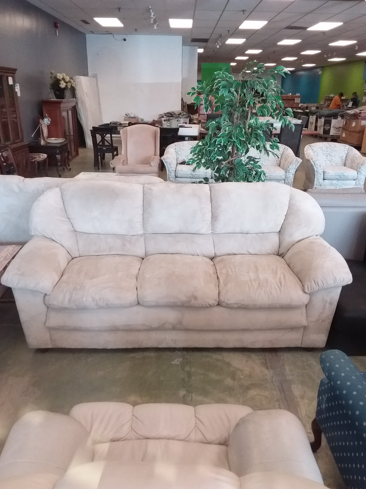 Deep Cushion Beige Sofa