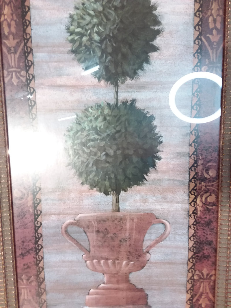 Tree In A Urn Framed Print