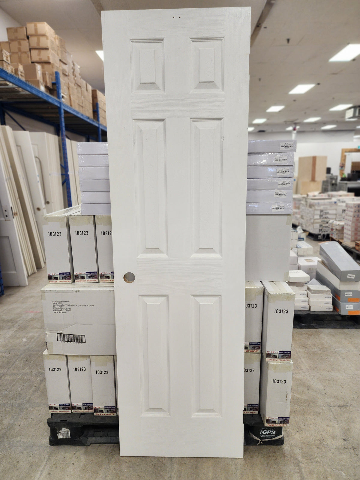 White 6 Panel Door