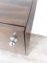 Wood Paneled Storage Cabinet