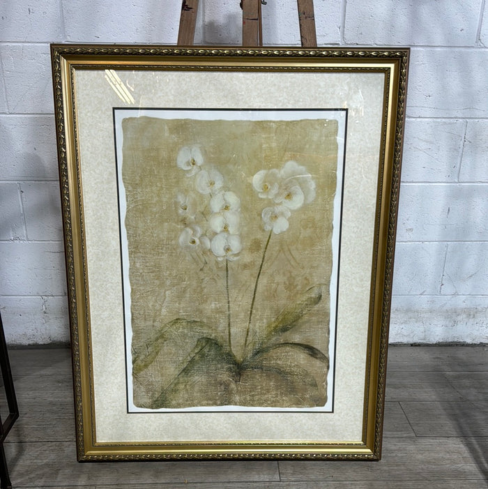 White Orchids - Framed Print