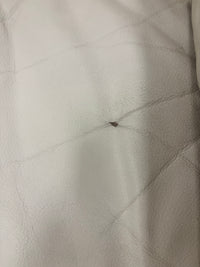 Off-White Leather Couch