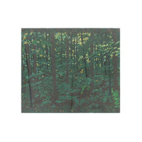 Forest Interior 35-inch Serigraph Painting by David Peter Hunsberger