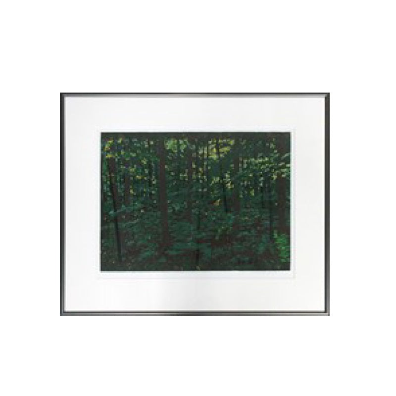 Forest Interior 35-inch Serigraph Painting by David Peter Hunsberger