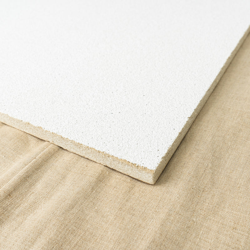 24-inch Ceiling Tiles in White 16pcs