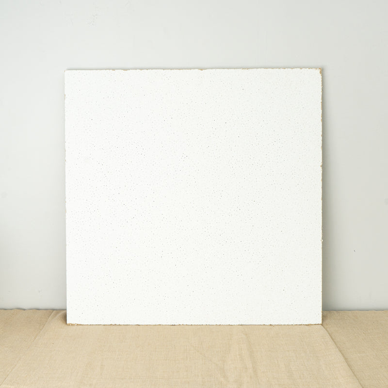 24-inch Ceiling Tiles in White 16pcs