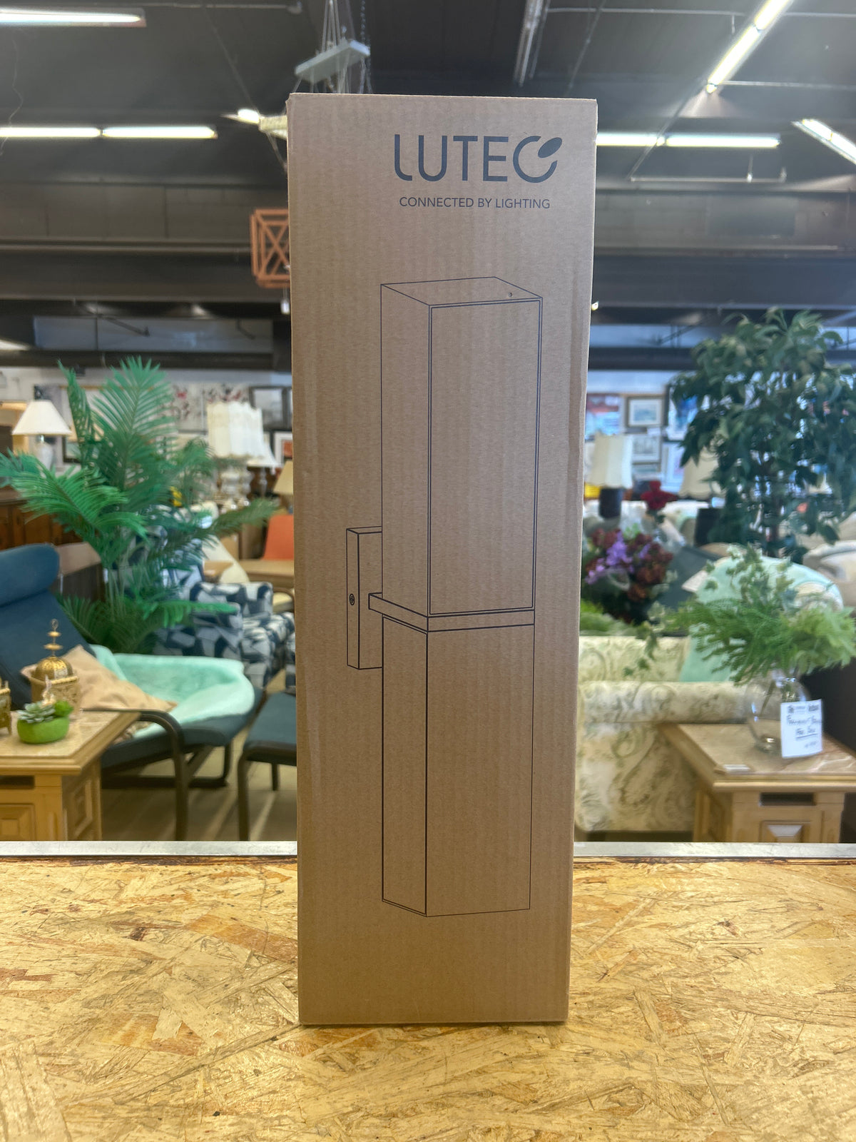 LUTEC Wall Lamp Sconce (New)