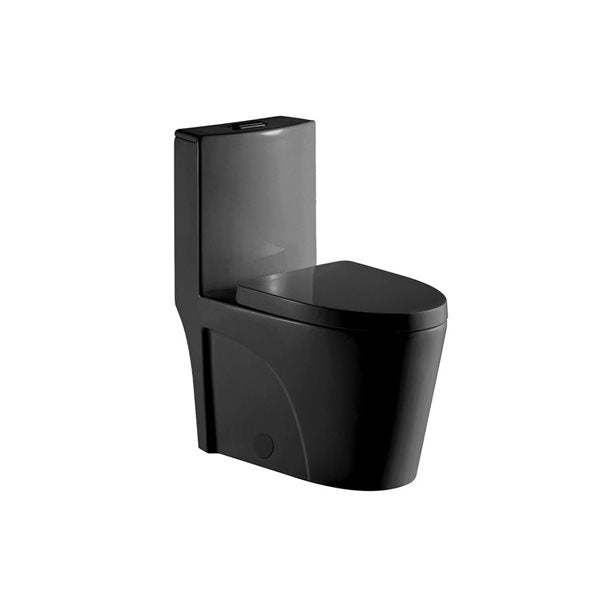 Tyrone Matte Black Dual Flush Standard Concealed One-Piece Toilet